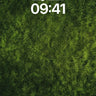 Whispering Moss Wallpaper with Living Light wallpaper for iPhone, iPad & Mac