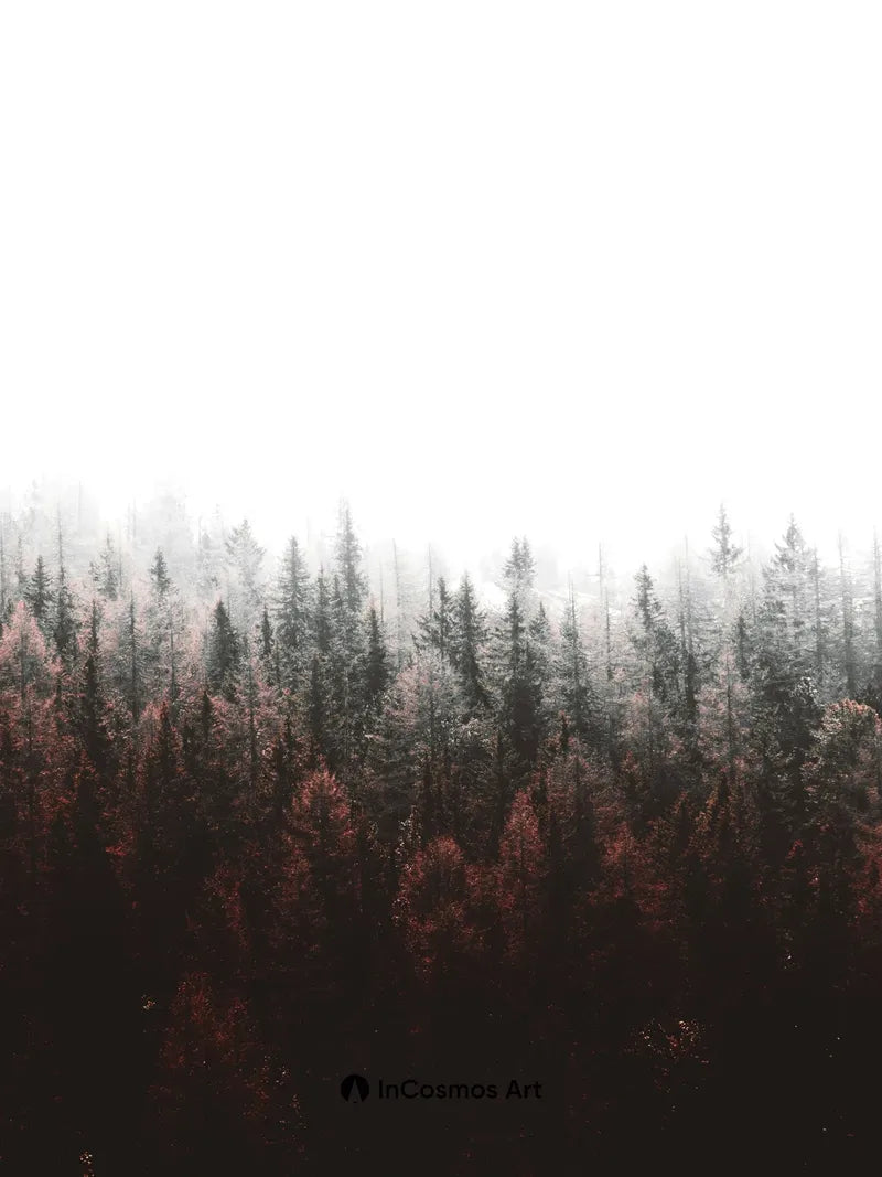 Misty Forest Wallpaper with Crimson Undergrowth