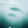 Serenity Underwater Gazebo Wallpaper with Floating Whales wallpaper for iPhone, iPad & Mac