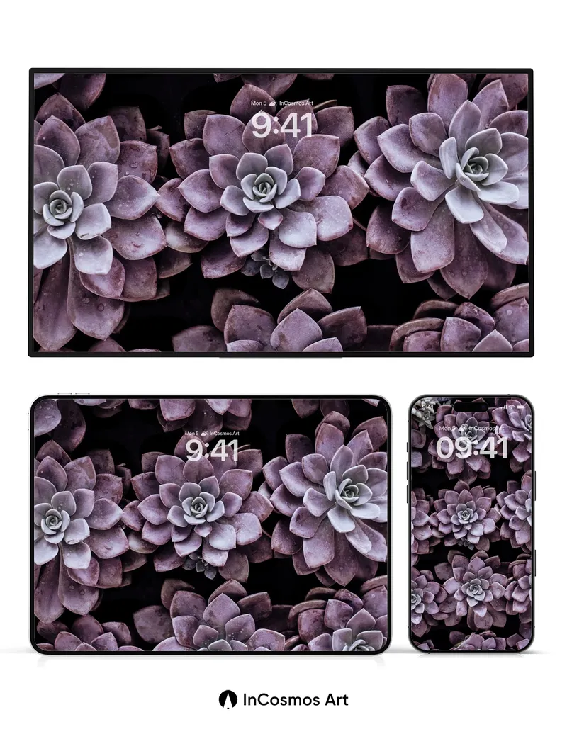 Muted Velvet Succulent Wallpaper with Dew-Kissed Petals