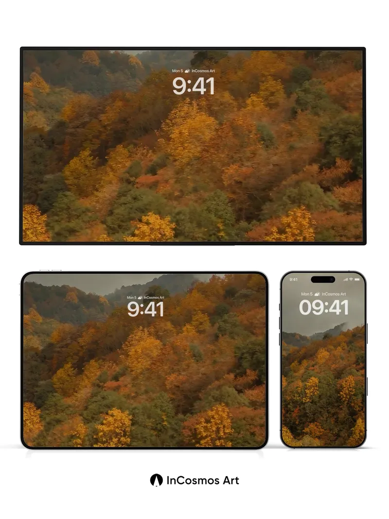 Misty Autumn Hush Wallpaper with Golden Canopy