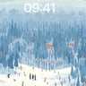 Winter Forest Village Snowy Landscape Background