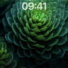 Emerald Spiral Wallpaper with Living Light wallpaper for iPhone, iPad & Mac