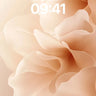 Silken Hush Wallpaper with Floating Petals wallpaper for iPhone, iPad & Mac