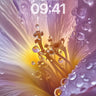 Luminous Dewdrop Wallpaper with Petal Veins wallpaper for iPhone, iPad & Mac