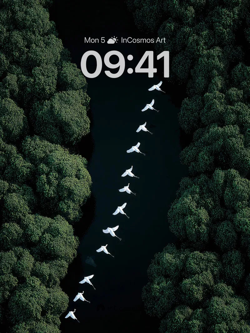 Serenity Flight Wallpaper with Forest Canopy Veil