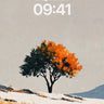 Autumn Whisper Wallpaper with Snow-Kissed Canopy wallpaper for iPhone, iPad & Mac