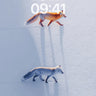 Silent Snowfox Wallpaper with Dual Shadows wallpaper for iPhone, iPad & Mac