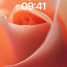 Velvet Petal Wallpaper with Sunlit Curves wallpaper for iPhone, iPad & Mac