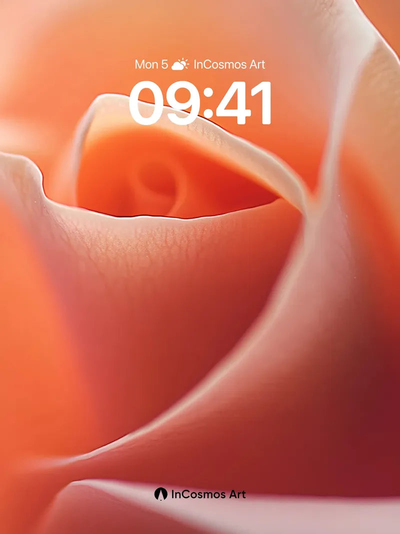 Velvet Petal Wallpaper with Sunlit Curves