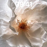 Luminous Petal Wallpaper with Veiled Light wallpaper for iPhone, iPad & Mac