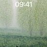 Soft Mist Wallpaper with Whispering Birch wallpaper for iPhone, iPad & Mac