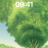 Serenity Tree Wallpaper with Dappled Light wallpaper for iPhone, iPad & Mac