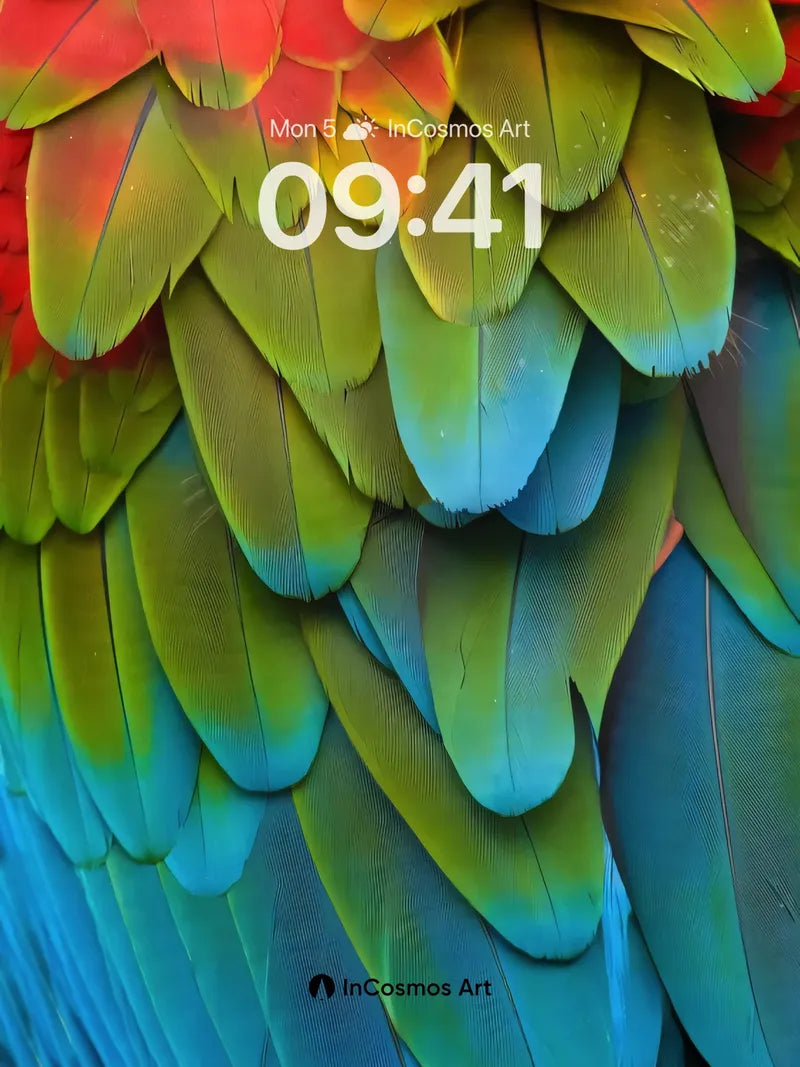 Rainbow Feather Wallpaper with Living Hues