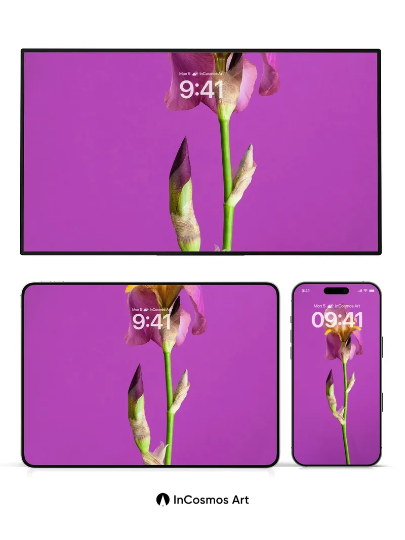 Velvet Iris Wallpaper with Hidden Petals