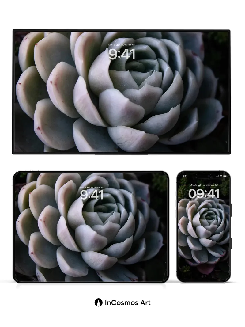 Serene Succulent Wallpaper with Velvet Petals