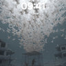 Caged Light Wallpaper with羽翼 Storm wallpaper for iPhone, iPad & Mac