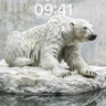 Serenity on Ice Wallpaper with Polar Reflection wallpaper for iPhone, iPad & Mac