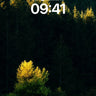 Golden Edge Wallpaper with Shadowed Forest wallpaper for iPhone, iPad & Mac