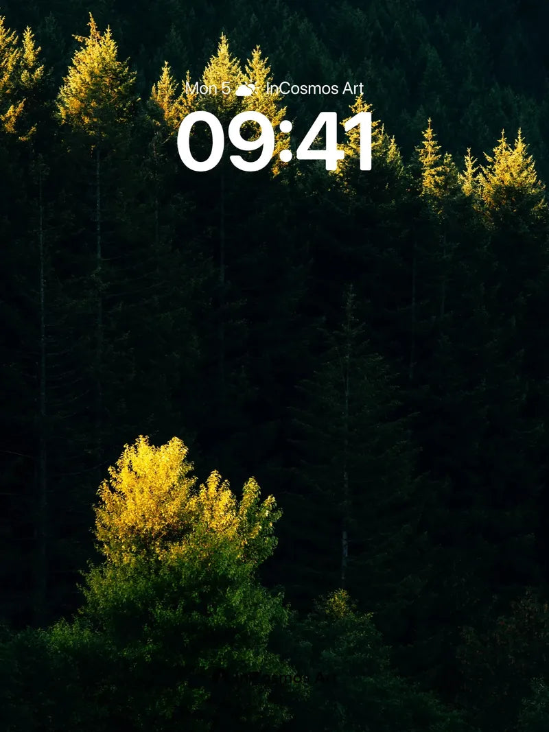 Golden Edge Wallpaper with Shadowed Forest