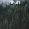Whispering Pines Wallpaper with Cloud Veil wallpaper for iPhone, iPad & Mac