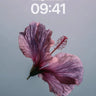 Floating Petal Wallpaper with Ethereal Light wallpaper for iPhone, iPad & Mac