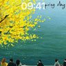 Serenity Under Golden Canopy Wallpaper with Lake Reflections wallpaper for iPhone, iPad & Mac