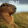 Golden Stillness Wallpaper with Whispering Grass wallpaper for iPhone, iPad & Mac
