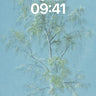 Serenity Birch Wallpaper with Ethereal Light wallpaper for iPhone, iPad & Mac