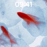 Serene Bloom Wallpaper with Floating Goldfish wallpaper for iPhone, iPad & Mac
