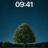 Stellar Solitude Wallpaper with Midnight Canopy wallpaper for iPhone, iPad & Mac