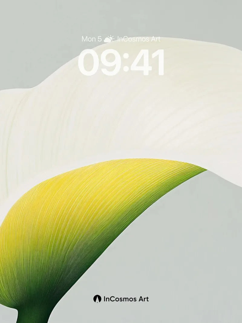 Serene Petal Wallpaper with Ethereal Light