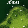 Serene Flight Wallpaper with Grassland Edge wallpaper for iPhone, iPad & Mac