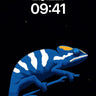 Cosmic Chameleon Wallpaper with Starlit Spine wallpaper for iPhone, iPad & Mac