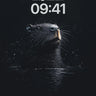 Nocturnal Glimmer Wallpaper with Whispering Water wallpaper for iPhone, iPad & Mac