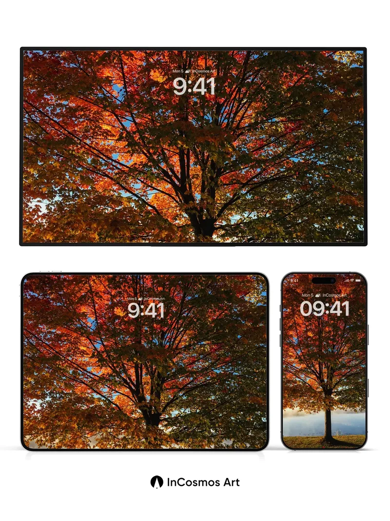 Autumn Ember Wallpaper with Misty Horizon