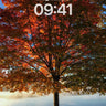 Autumn Ember Wallpaper with Misty Horizon wallpaper for iPhone, iPad & Mac