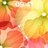 Luminous Bloom Wallpaper with Radiant Petals wallpaper for iPhone, iPad & Mac