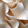 Soft Petal Wallpaper with Breathable Light wallpaper for iPhone, iPad & Mac