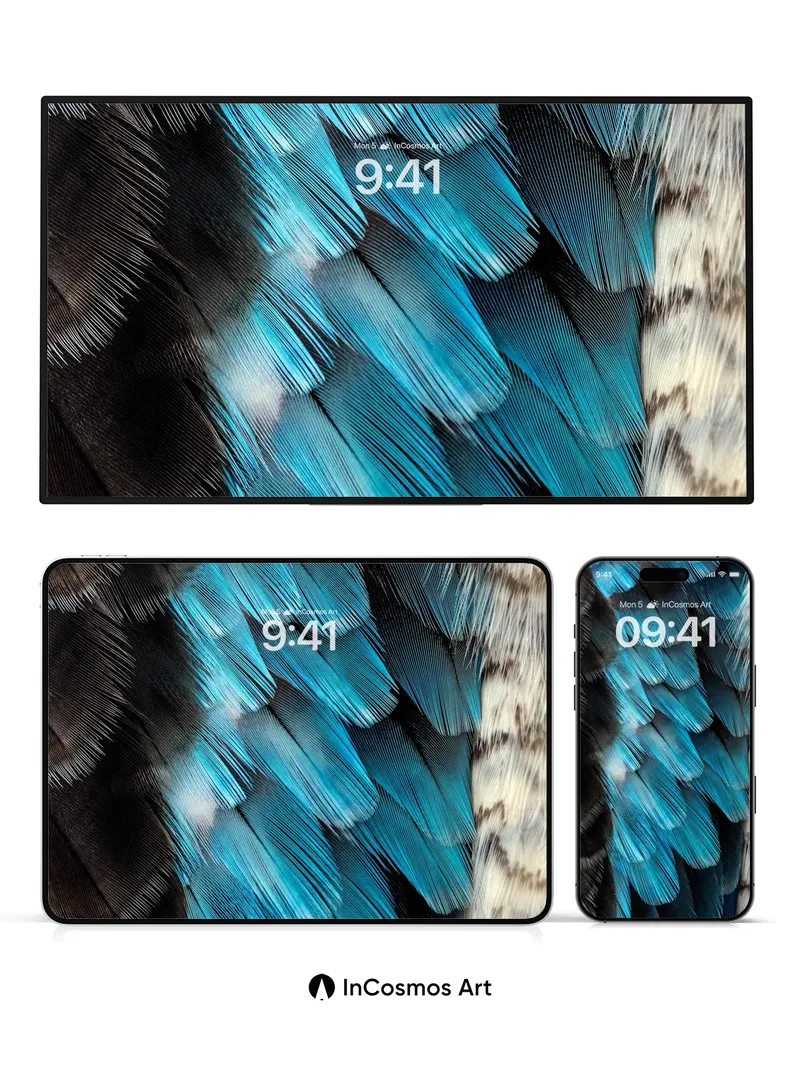 Turquoise Feather Wallpaper with Shadowed Depth