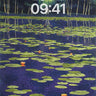 Midnight Lily Wallpaper with Reflective Forest wallpaper for iPhone, iPad & Mac