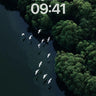 Serenity Flight Wallpaper with Forest Echo wallpaper for iPhone, iPad & Mac