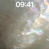 Iridescent Shell Wallpaper with Liquid Light wallpaper for iPhone, iPad & Mac