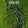 Serenity Flock Wallpaper with Shadow Trails wallpaper for iPhone, iPad & Mac