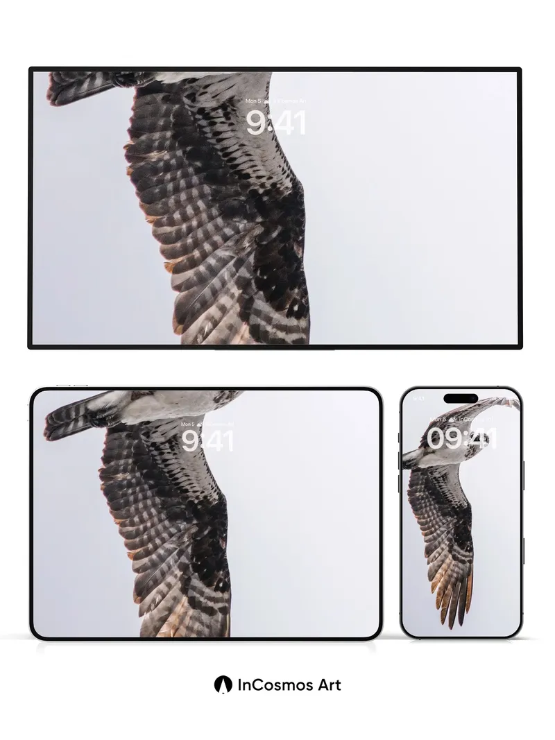 Soaring Grace Wallpaper with Feathered Light