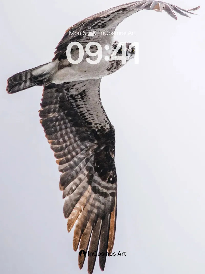 Soaring Grace Wallpaper with Feathered Light