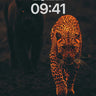 Ember-Clad Leopard Wallpaper with Shadowed Pursuit wallpaper for iPhone, iPad & Mac
