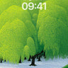 Whispering Canopy Wallpaper with Dappled Light wallpaper for iPhone, iPad & Mac