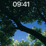 Forest Canopy Sky Background Anime Aesthetic