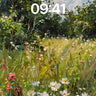 Whispering Meadow Wallpaper with Dappled Light wallpaper for iPhone, iPad & Mac